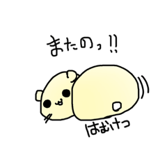 Mouse29