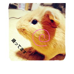 my jack 2