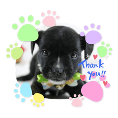 SEIRA_20211026154238