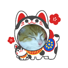 yuka_20211026154828