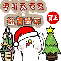 cute bird moveing Christmas and new year