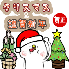 cute bird moveing Christmas and new year