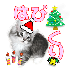 猫のクリスマスと新年のメッセージ