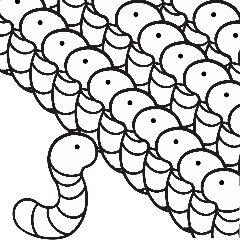 White earthworm