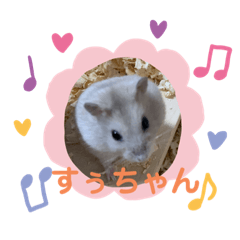rina_20211026171627