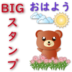 Cute Bear Practical Words in Japanese