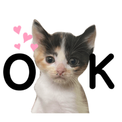 matsu_20211026175249