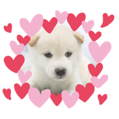 Yamada_20211026173655