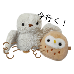 cream_20211026163517