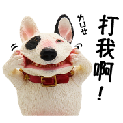 Asakuma Toshio: Animal Life