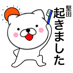 Name cat Katata