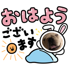 omochi_20211026190348