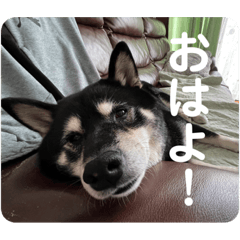 AKIRA_1220