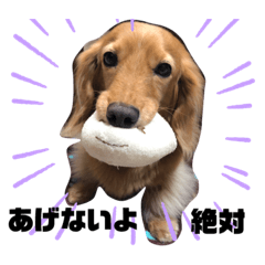 akiko_20211026232417