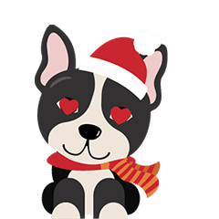 Baxter share the love of Christmas