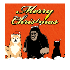 Gorilla cat dog's New Year's Holiday