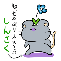 SHINSAKU is A mouse