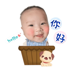 糖霜丸小樂❤️