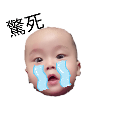 皓皓陪你過每一天5