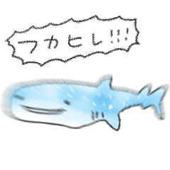 simple Whale shark Daily conversation