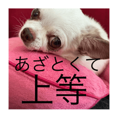 ayumi_20211026162750