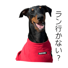 ayumi_20211027141657