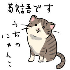 Honorific cat can be used every day
