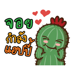 Joy Love Cactus
