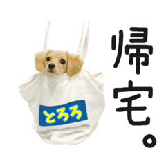 seira_20211027115357