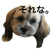 i am monja ! no.3