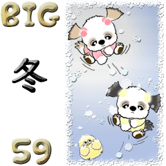 【Big】シーズー犬 59『冬』