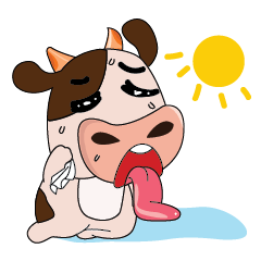Stupid Lovable Humorous Cow