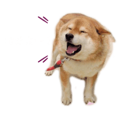 aoi_20211027194027