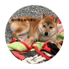 akiko_20211027203158