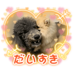 PONZU_20211027215325