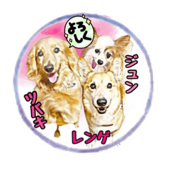 miki_20211027223634