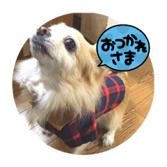 Kanae_20211027231029