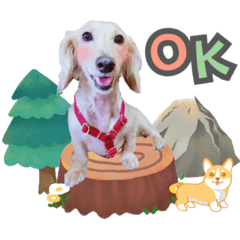 我是可愛的豆豆14♥喜怒哀樂♥