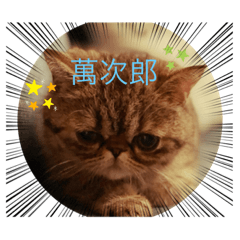John_20211027214016