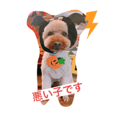 miki_20211027224041