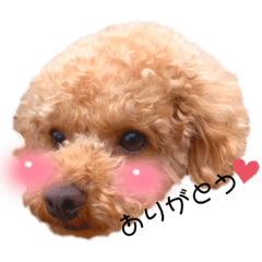 mizuki_20211028024630