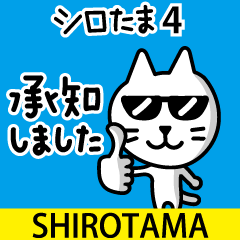 SHIROTAMA Cat 4.0 ( Japanese )