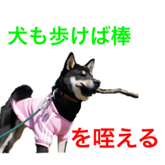 TETSU_20211028075057