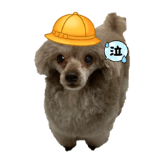 Rinsen_20211028002513