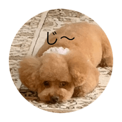 eiji.t_20211028143238