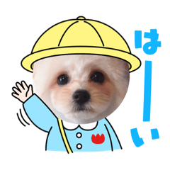 saya_20211028144059