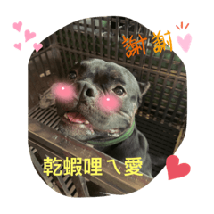 I”m惡霸～阿魯-3