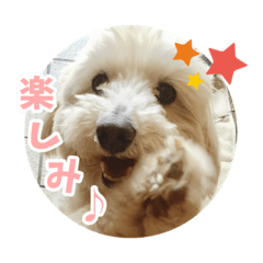 Chihiro_20211028133341