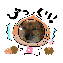 tomomi_20211028160837