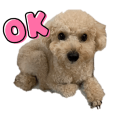 Yoshizakidaiki_20211028230039